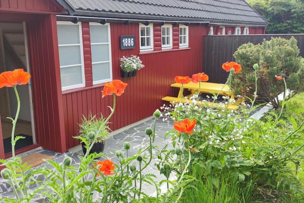Cozy Cottage Klaksvík エクステリア 写真