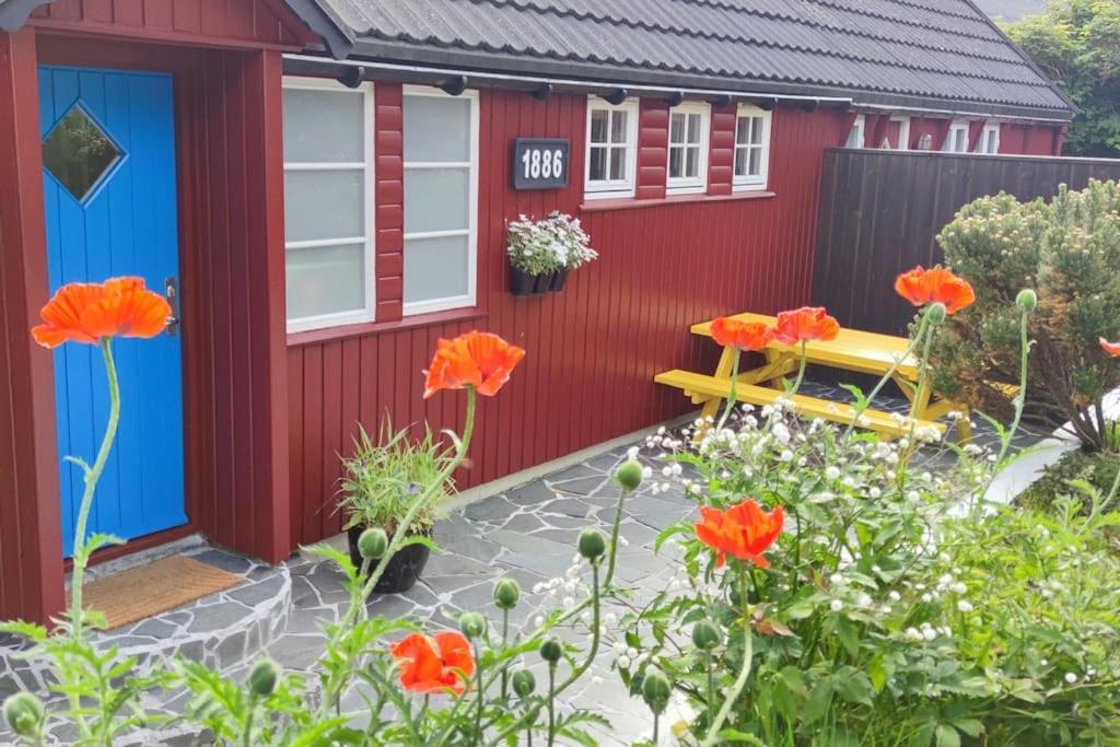Cozy Cottage Klaksvík エクステリア 写真