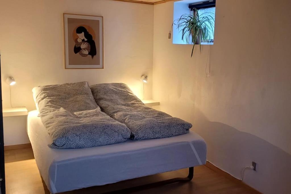 Cozy Cottage Klaksvík エクステリア 写真